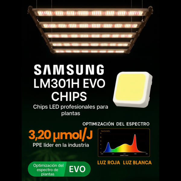Quantum ZEUS 320W EVO - Imagen 2