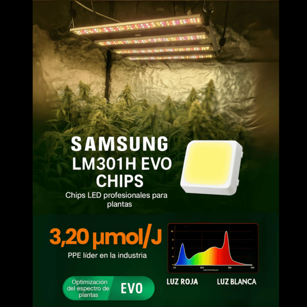 Quantum ZEUS 240W EVO - Imagen 2