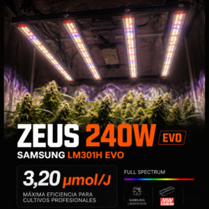 big groe sale 2026 (1)