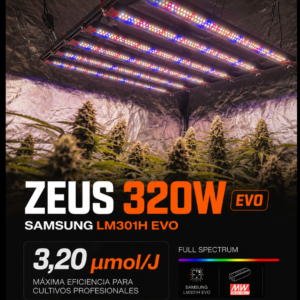 big groe sale 2026 (3)