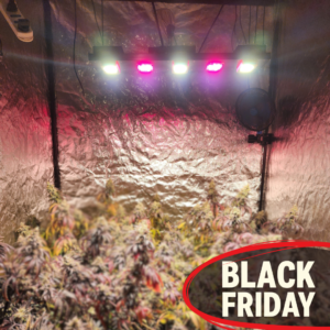 CRONOS+ 250w Deep Red