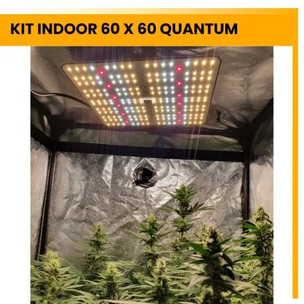 Kit indoor 60x60 Quantum 120W - Imagen 2