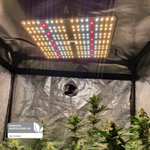 FLEXSTAR Quantum Board 120W