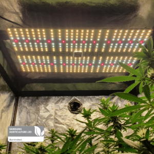 FLEXSTAR Quantum Board 240W