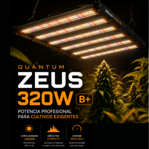 Quantum ZEUS 320W B+