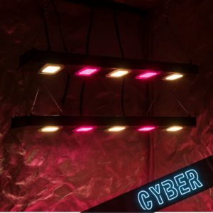 CRONOS+ 500w Deep Red