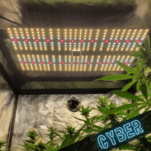 FLEXSTAR Quantum Board 240W