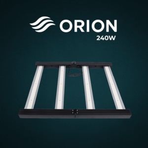 ORION 240W