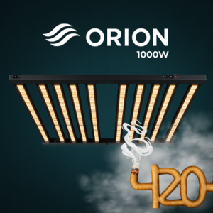 ORION 1000W