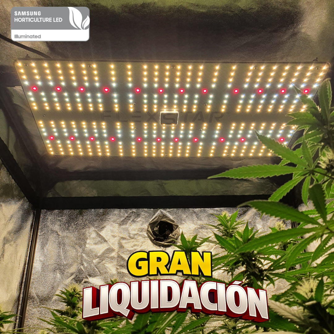 FLEXSTAR Quantum Board 240W