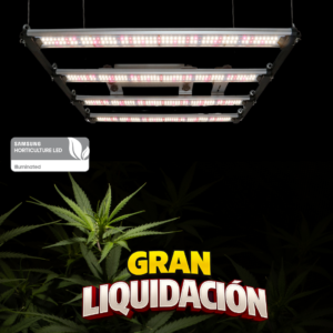 Quantum ZEUS 240W EVO