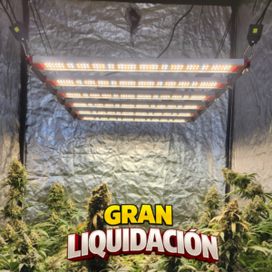 Quantum ZEUS 320W B+