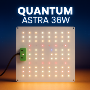 Quantum Astra 36W