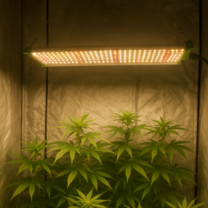 Quantum Astra Bar 85W