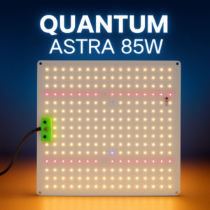 Quantum Astra 85W