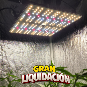 FLEXSTAR Quantum Board 120W