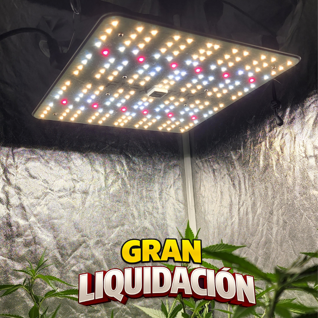 FLEXSTAR Quantum Board 120W