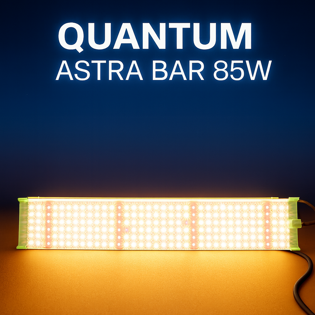 Quantum Astra Bar 85W