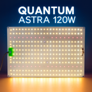 Quantum Astra 120W