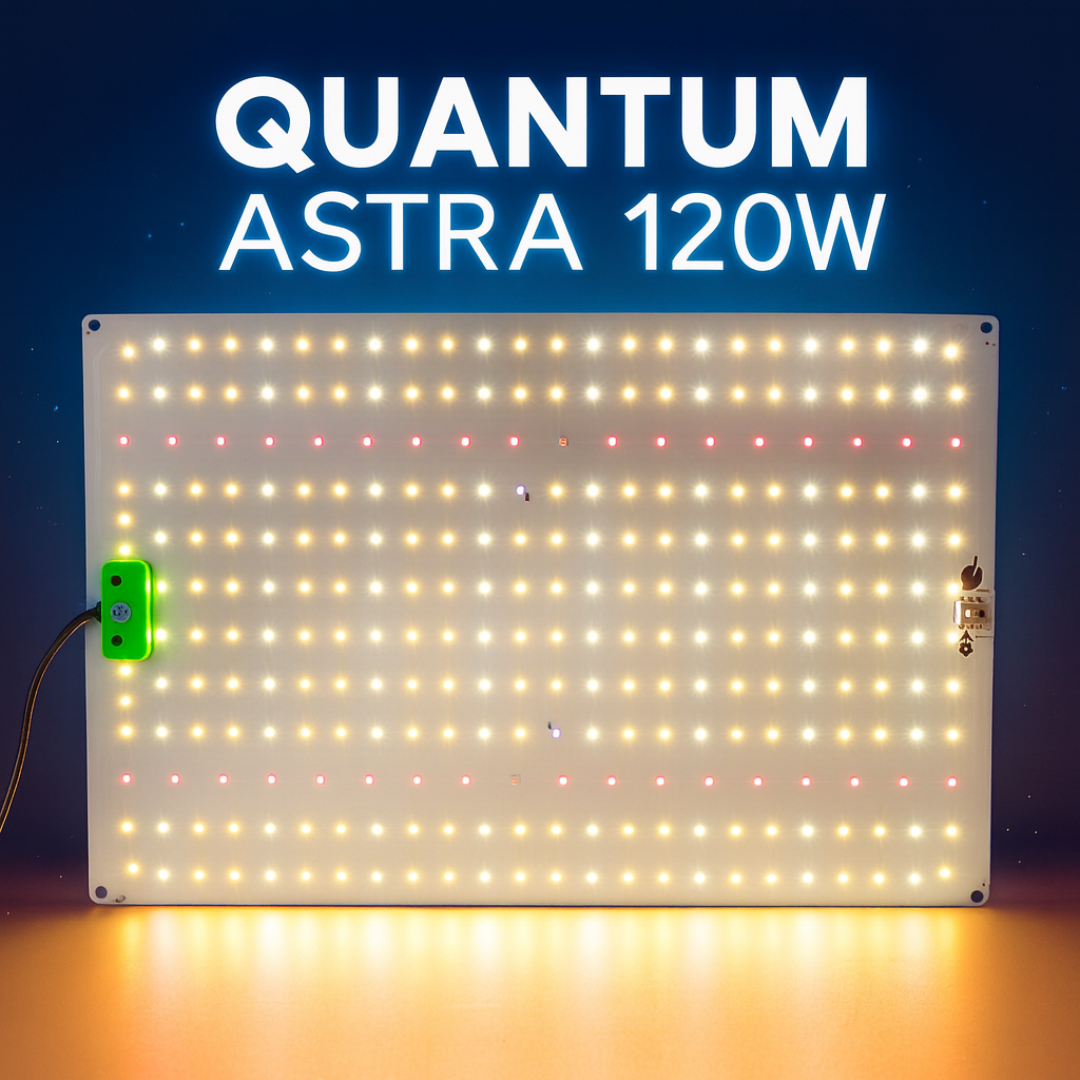 Quantum Astra 120W