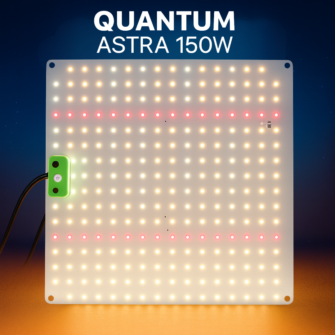 Quantum Astra 150W