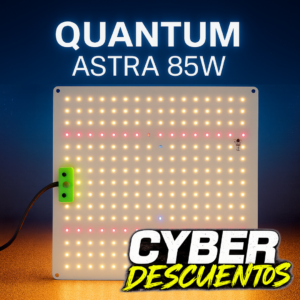 Quantum Astra 85W
