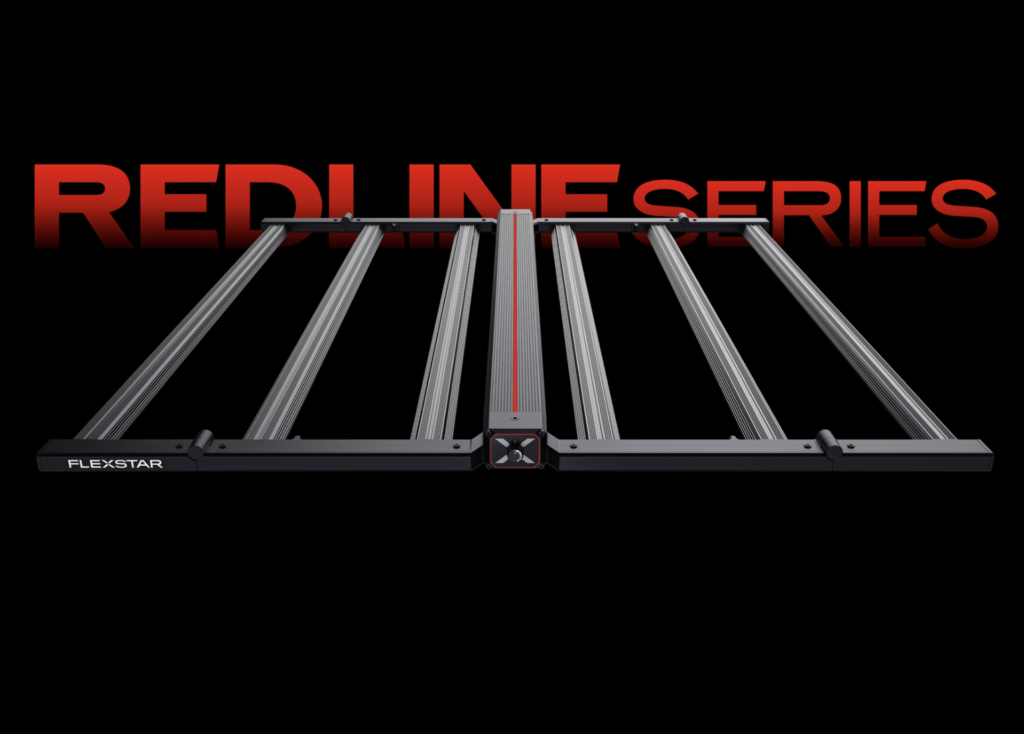 Captura de pantalla 2026-01-25 a la(s) 2.42.57 p.m.