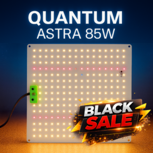 Quantum Astra 85W