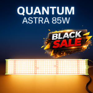 Quantum Astra Bar 85W