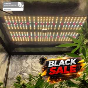 FLEXSTAR Quantum Board 240W