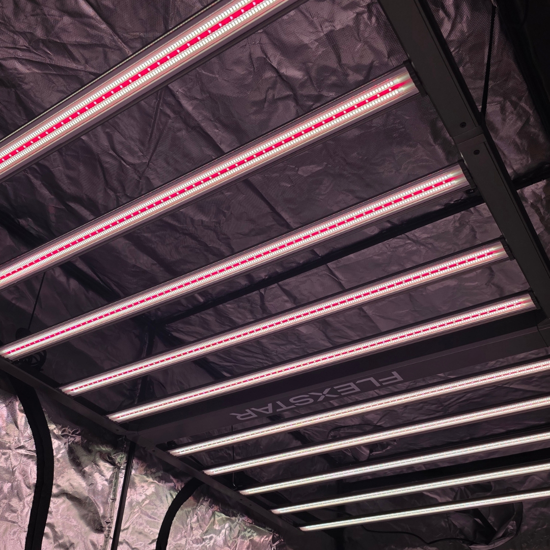 Flexstar Redline 1000W - Imagen 3