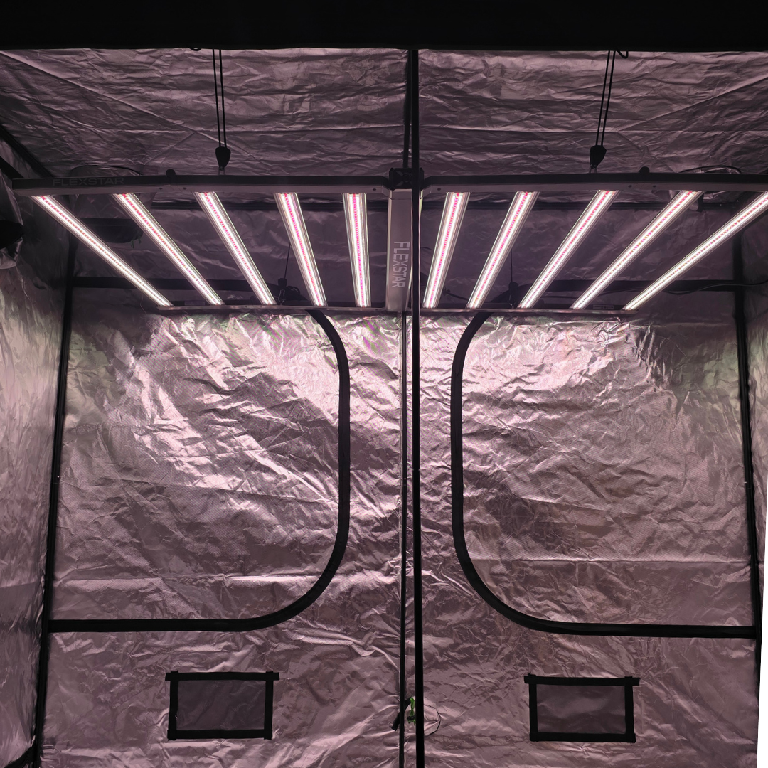 Flexstar Redline 1000W - Imagen 2