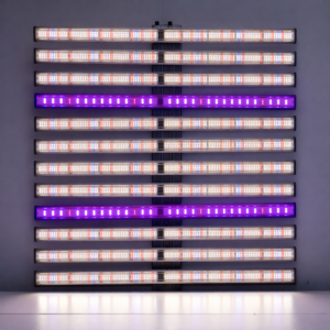 Quantum ZEUS 1060W PRO