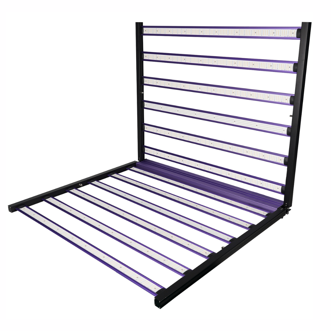 Quantum NOVA 1300W - Imagen 4