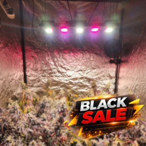 CRONOS+ 250w Deep Red