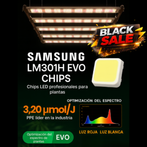 Quantum ZEUS 320W EVO