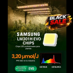 Quantum ZEUS 240W EVO