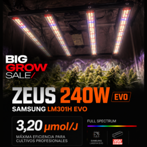 Quantum ZEUS 240W EVO