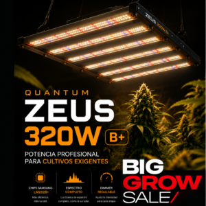 Quantum ZEUS 320W B+