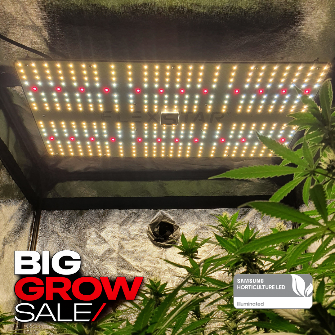 Flexstar 240W FLEXSTAR Quantum Board 240W