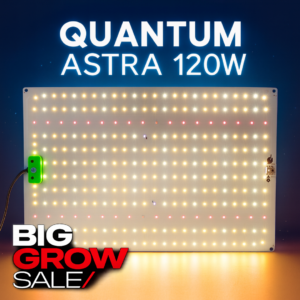 Quantum Astra 120W