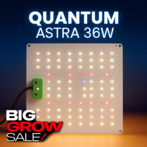 Quantum Astra 36W